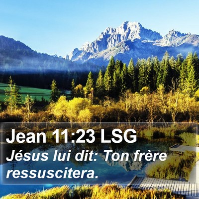 Jean 11:23 LSG Bible Verse Image