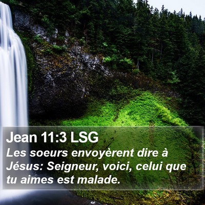 Jean 11:3 LSG Bible Verse Image