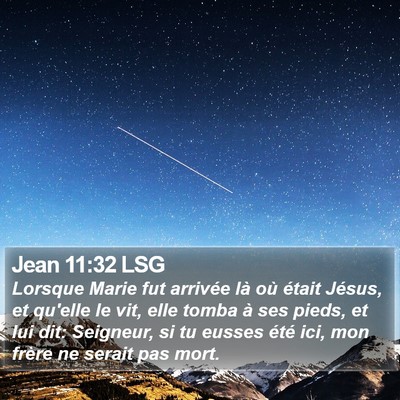 Jean 11:32 LSG Bible Verse Image