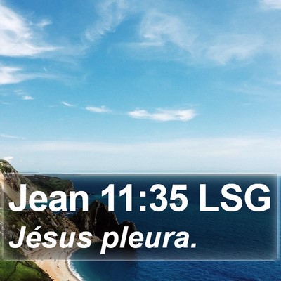 Jean 11:35 LSG Bible Verse Image