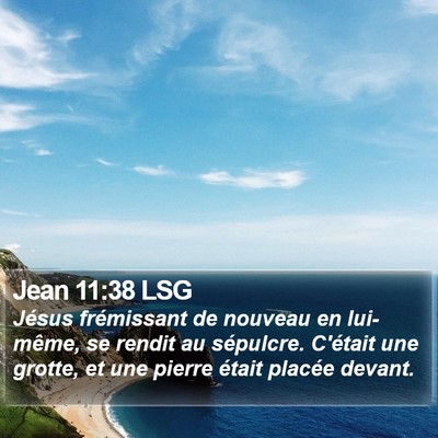 Jean 11:38 LSG Bible Verse Image