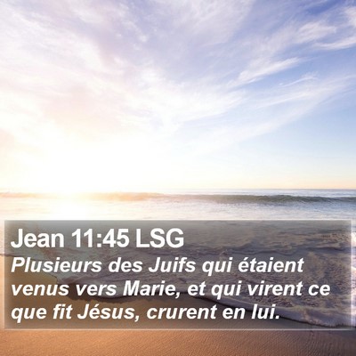 Jean 11:45 LSG Bible Verse Image