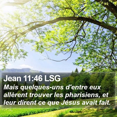 Jean 11:46 LSG Bible Verse Image