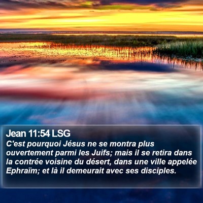 Jean 11:54 LSG Bible Verse Image