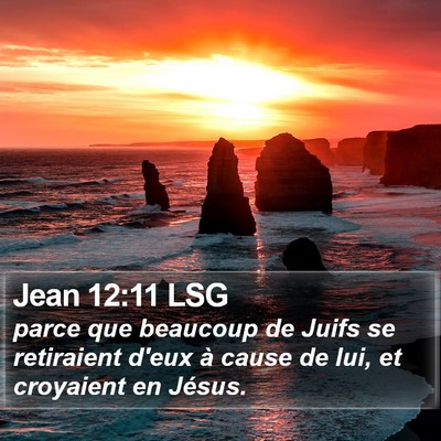 Jean 12:11 LSG Bible Verse Image