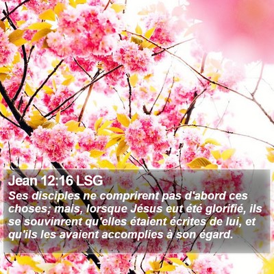 Jean 12:16 LSG Bible Verse Image