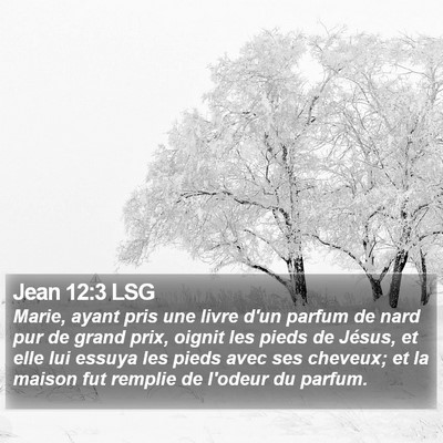 Jean 12:3 LSG Bible Verse Image