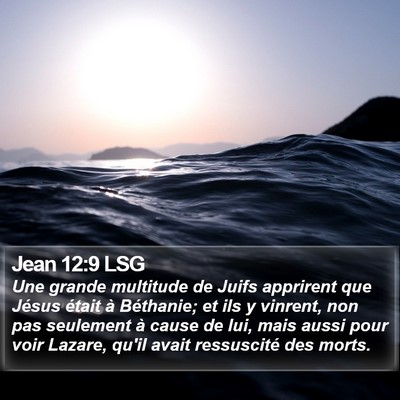 Jean 12:9 LSG Bible Verse Image