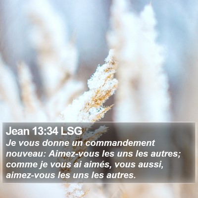 Jean 13:34 LSG Bible Verse Image