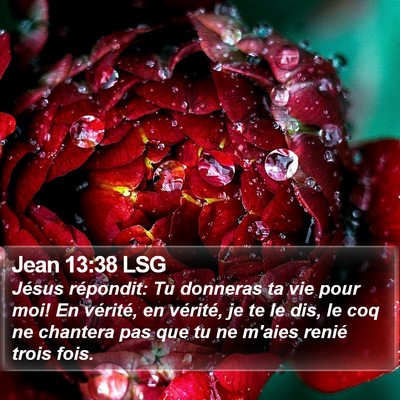 Jean 13:38 LSG Bible Verse Image
