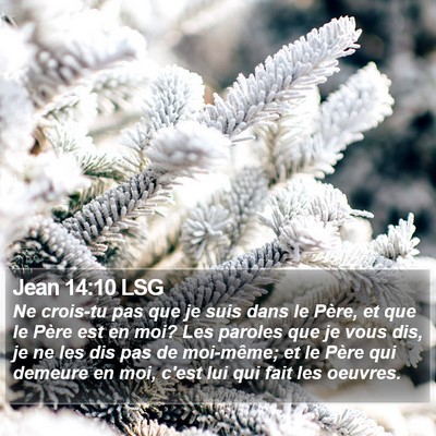 Jean 14:10 LSG Bible Verse Image