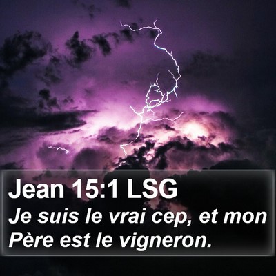 Jean 15:1 LSG Bible Verse Image