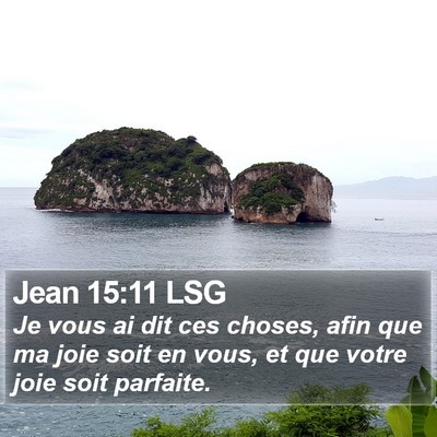 Jean 15:11 LSG Bible Verse Image