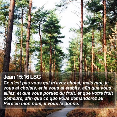 Jean 15:16 LSG Bible Verse Image