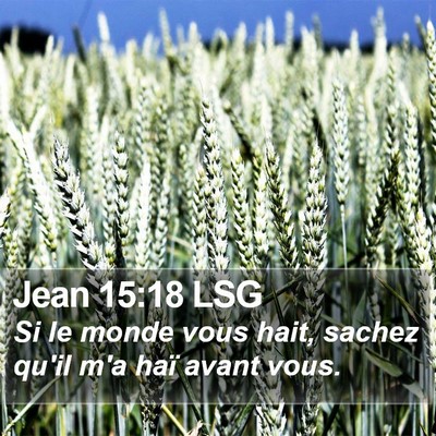 Jean 15:18 LSG Bible Verse Image