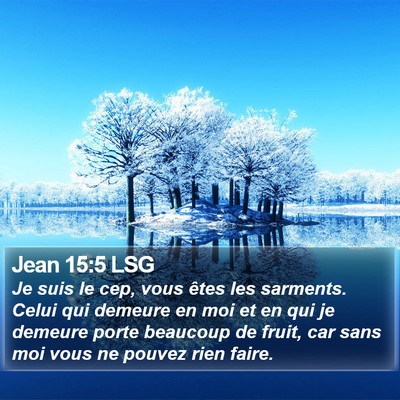 Jean 15:5 LSG Bible Verse Image