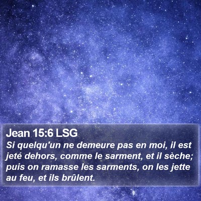 Jean 15:6 LSG Bible Verse Image
