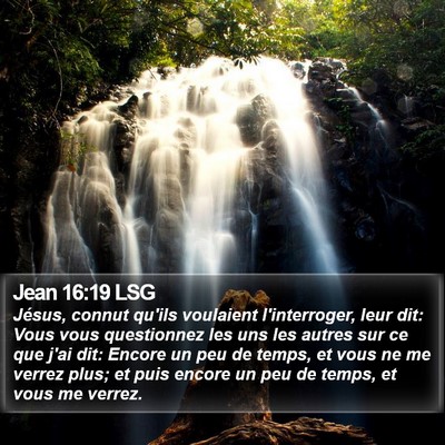 Jean 16:19 LSG Bible Verse Image