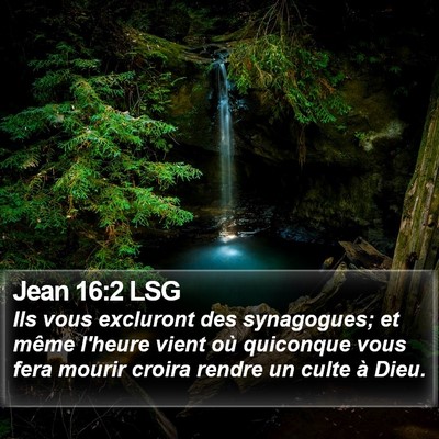 Jean 16:2 LSG Bible Verse Image