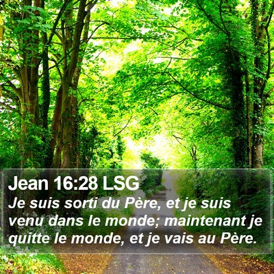 Jean 16:28 LSG Bible Verse Image