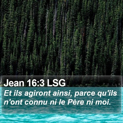 Jean 16:3 LSG Bible Verse Image