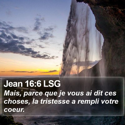 Jean 16:6 LSG Bible Verse Image