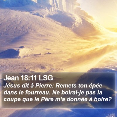 Jean 18:11 LSG Bible Verse Image