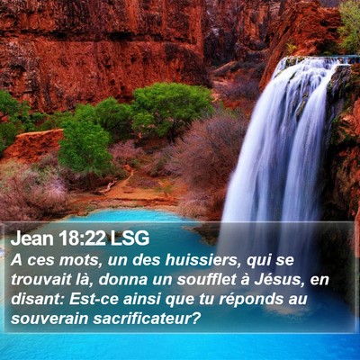 Jean 18:22 LSG Bible Verse Image