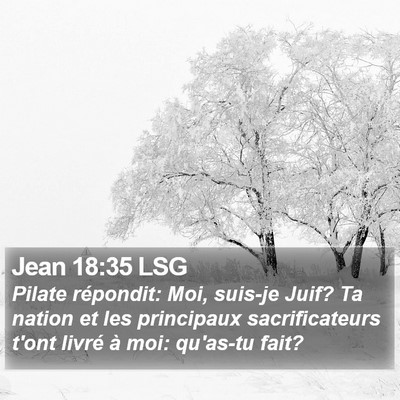 Jean 18:35 LSG Bible Verse Image