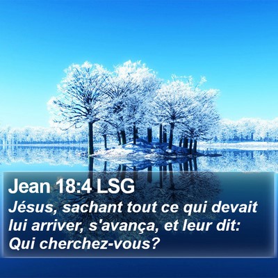 Jean 18:4 LSG Bible Verse Image
