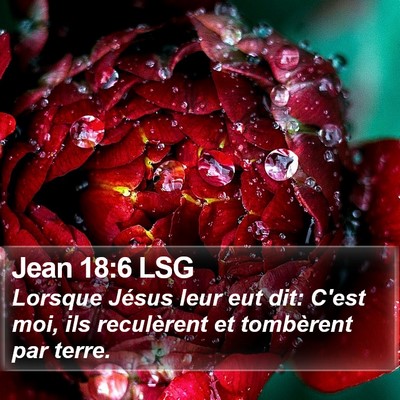 Jean 18:6 LSG Bible Verse Image