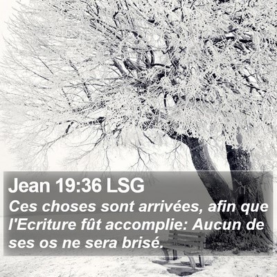 Jean 19:36 LSG Bible Verse Image
