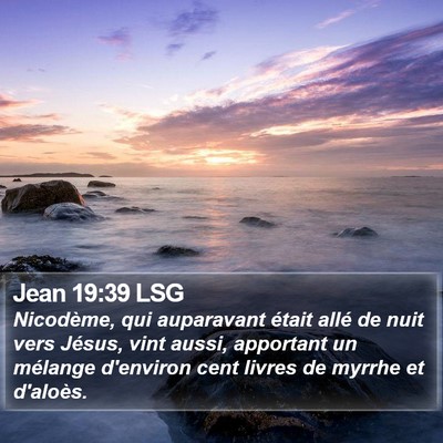 Jean 19:39 LSG Bible Verse Image