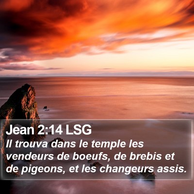 Jean 2:14 LSG Bible Verse Image