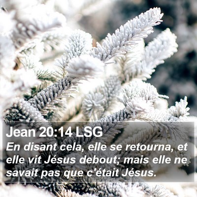 Jean 20:14 LSG Bible Verse Image