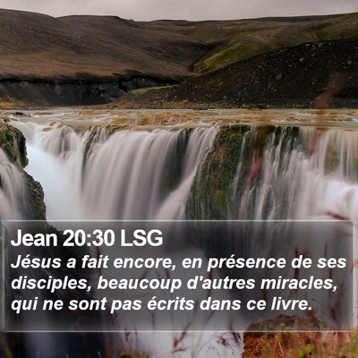 Jean 20:30 LSG Bible Verse Image