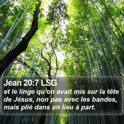 Jean 20:7 LSG Bible Verse Image