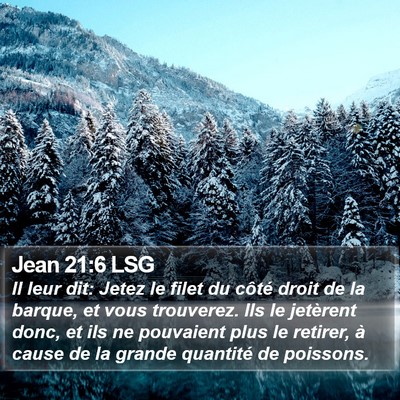 Jean 21:6 LSG Bible Verse Image