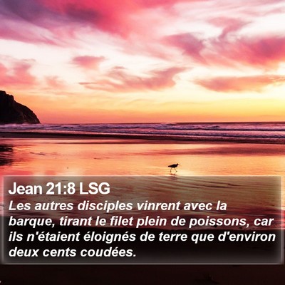 Jean 21:8 LSG Bible Verse Image