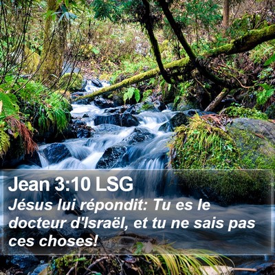 Jean 3:10 LSG Bible Verse Image