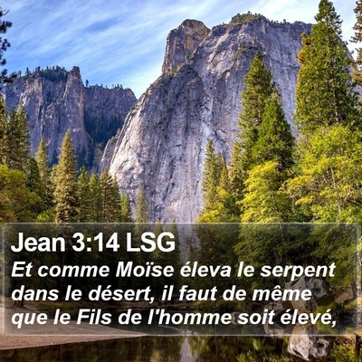 Jean 3:14 LSG Bible Verse Image