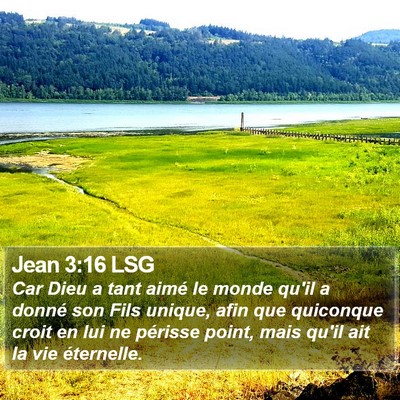 Jean 3:16 LSG Bible Verse Image