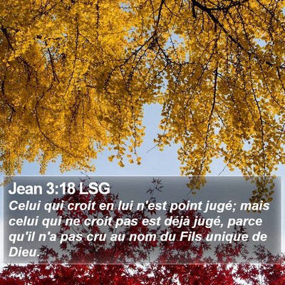 Jean 3:18 LSG Bible Verse Image