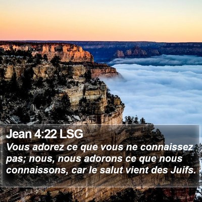 Jean 4:22 LSG Bible Verse Image