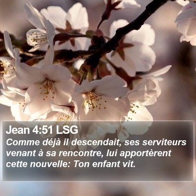Jean 4:51 LSG Bible Verse Image