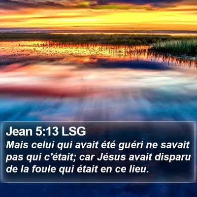 Jean 5:13 LSG Bible Verse Image
