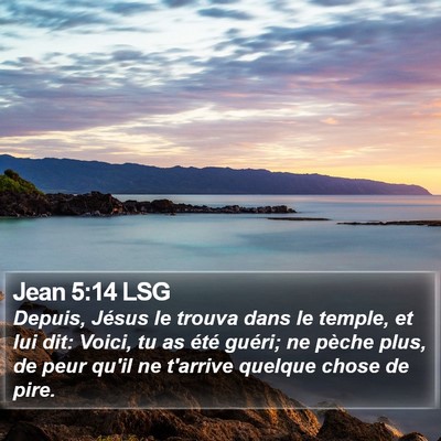 Jean 5:14 LSG Bible Verse Image
