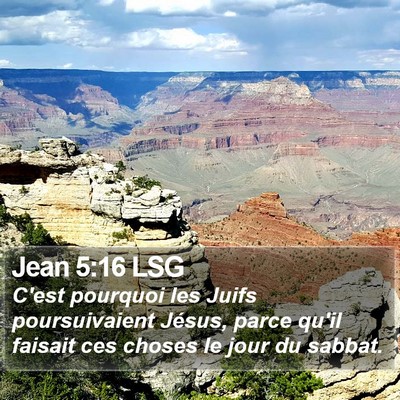 Jean 5:16 LSG Bible Verse Image
