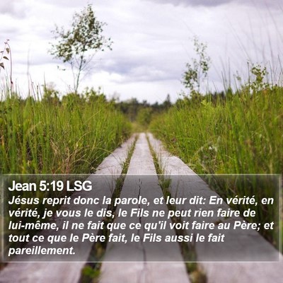 Jean 5:19 LSG Bible Verse Image