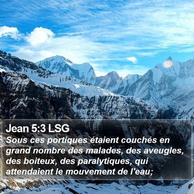 Jean 5:3 LSG Bible Verse Image